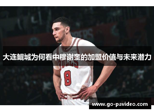 大连鲲城为何看中穆谢奎的加盟价值与未来潜力