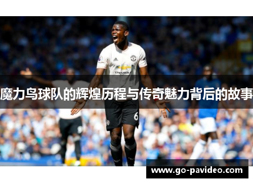 魔力鸟球队的辉煌历程与传奇魅力背后的故事 魔力鸟球队的辉煌历程与传奇魅力背后的故事