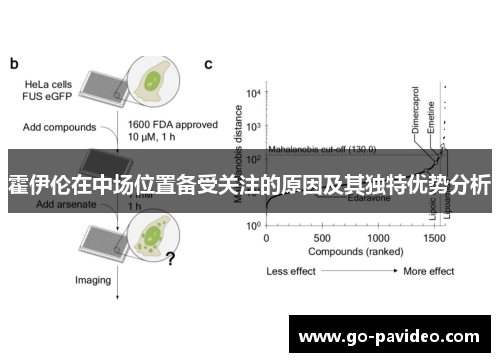 霍伊伦在中场位置备受关注的原因及其独特优势分析