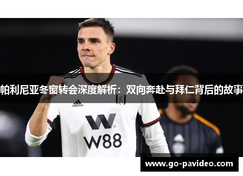 帕利尼亚冬窗转会深度解析：双向奔赴与拜仁背后的故事