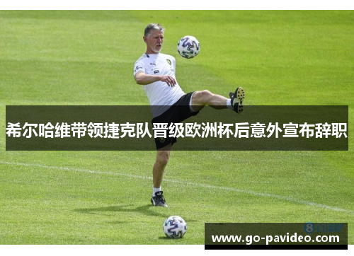 希尔哈维带领捷克队晋级欧洲杯后意外宣布辞职 希尔哈维带领捷克队晋级欧洲杯后意外宣布辞职
